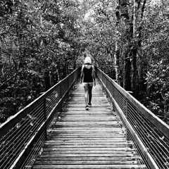 Leave It All Behind