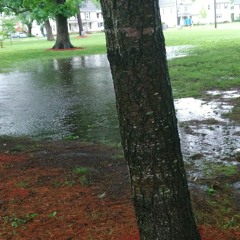 Things Really​ Have Changed A Lot