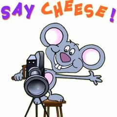 Say Cheese