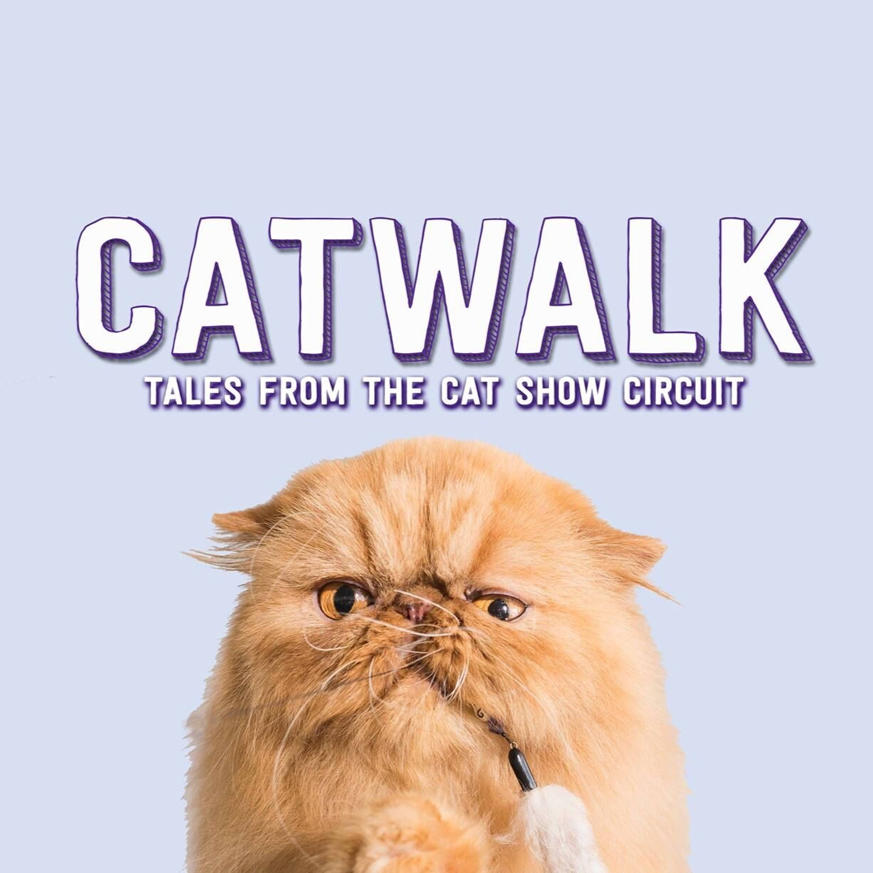 SIFFcast
