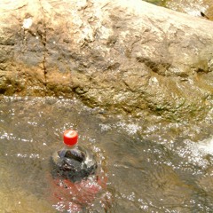 Quiz Game Main Menu (1999)