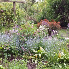 Garden 1 20 May 2018