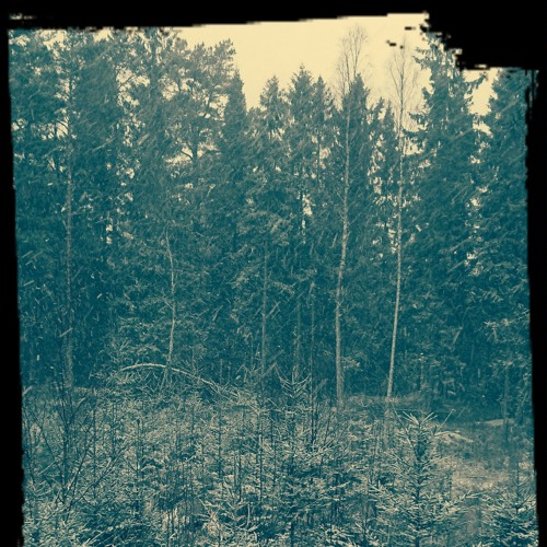 Forrest session #001