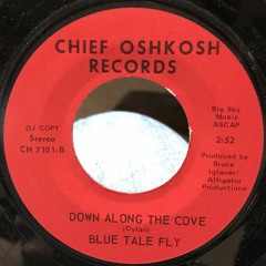 Blue Tale Fly - Down Along The Cove