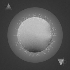 Measured In Rings