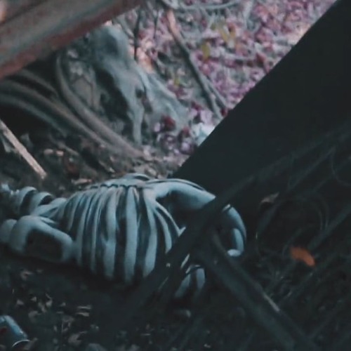 BONES - SadlyThatsJustTheWayThingsAre (+haven)