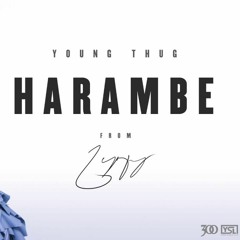 Young Thug - Harambe (Fast)