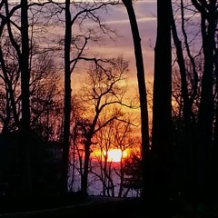 Silently Dismissed - John Scott ft Diane Marie