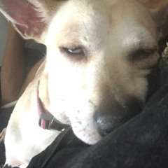 Kam - Heavy Stress (prod. by Jkush)