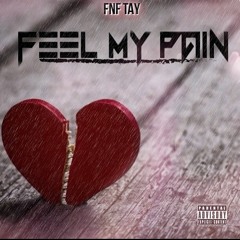 FNF Tay- Feel my Pain