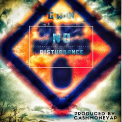 No Disturbance Prod. By Cashmoneyap