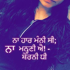 Sajjna Je Sambhall Gya