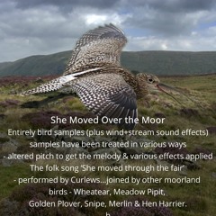 She moved over the moor (entirely bird samples)