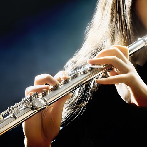 FLUTE INST