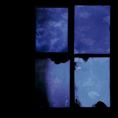 Nev Lilit - Adorable Ruin: Abra (excerpt)