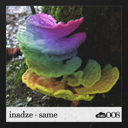 inadze - same