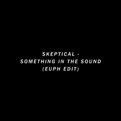 Skeptical - Something In The Sound (Euph Edit)