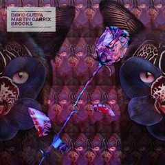 David Guetta Like I Do / Galantis Love On Me / MASHup - Ontine Flip