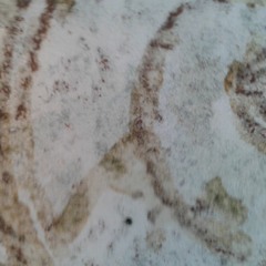 De même que les corps ont leur ombre