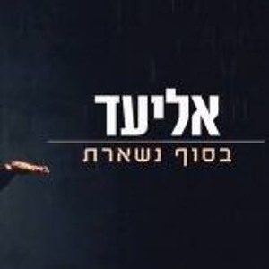 אליעד - בסוף נשארת mp3