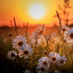 Melodic Techno V27 (Ben C & Kalsx, Dizharmonia, Soul Button, Nick Devon, Teho, SMIRRE...)