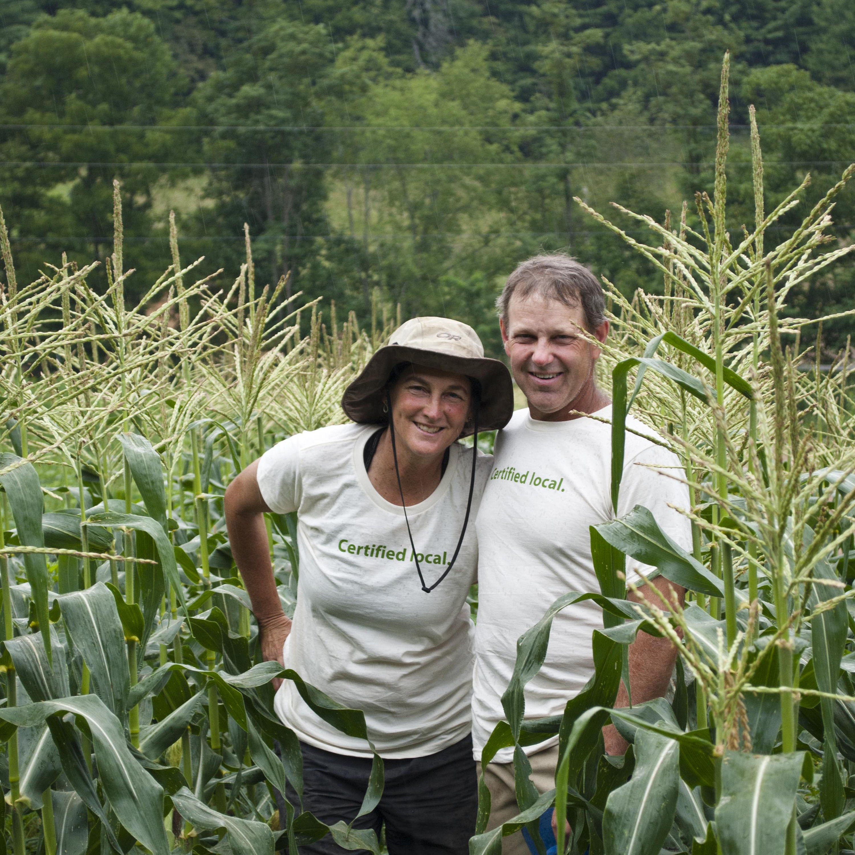 From Computer Desks to Corn Fields episode artwork