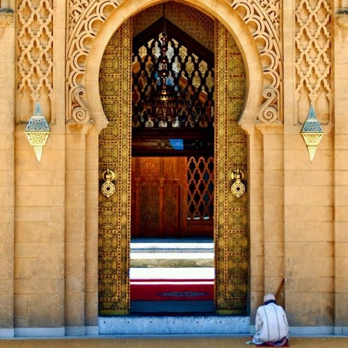 مجيب السائلين | نصر الدين طوبار