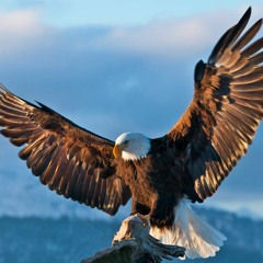 UnderGround Element - Chase The Wind (unreleased)