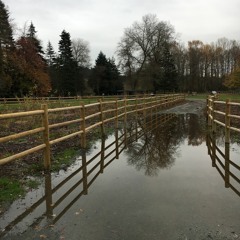 kyrie (14th century composition)