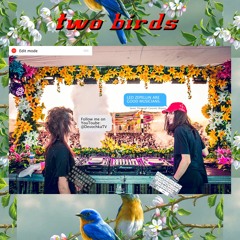 Two Birds At Garden 2018