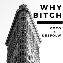 WHY BITCH Coco Caprice Feat DesFlow