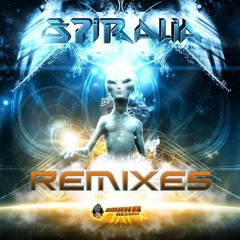 Invisible - Awareness - Spiralia Rmx