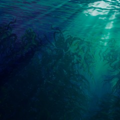 Underwater Ambience