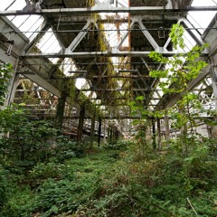 No more concrete Dub Mix