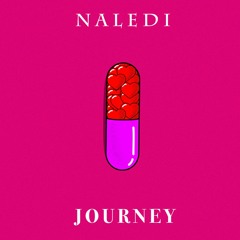 Naledi - Journey