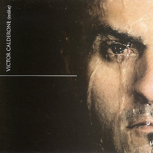 594 - Victor Calderone 'Evolve' (2007)