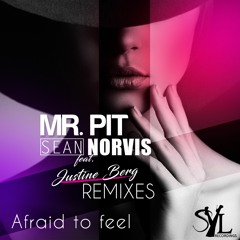 Mr. Pit, Sean Norvis & Justine Berg - Afraid to feel | Erick Fill Remix