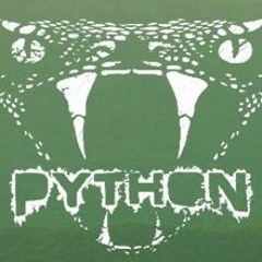 Python - Listen (Noizeconstructor Remix)
