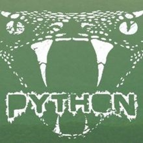 Python - Listen (Noizeconstructor Remix)
