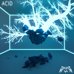 Adiidas- Acid (EXCLUSIVE)