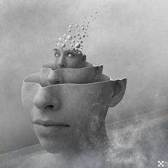 Vsena - Flying Mind