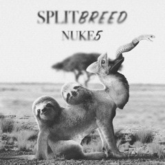 Dirty Piglet