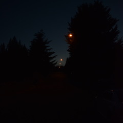 Street Light