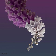 Flume - Pika (Aiden Williams Remix)