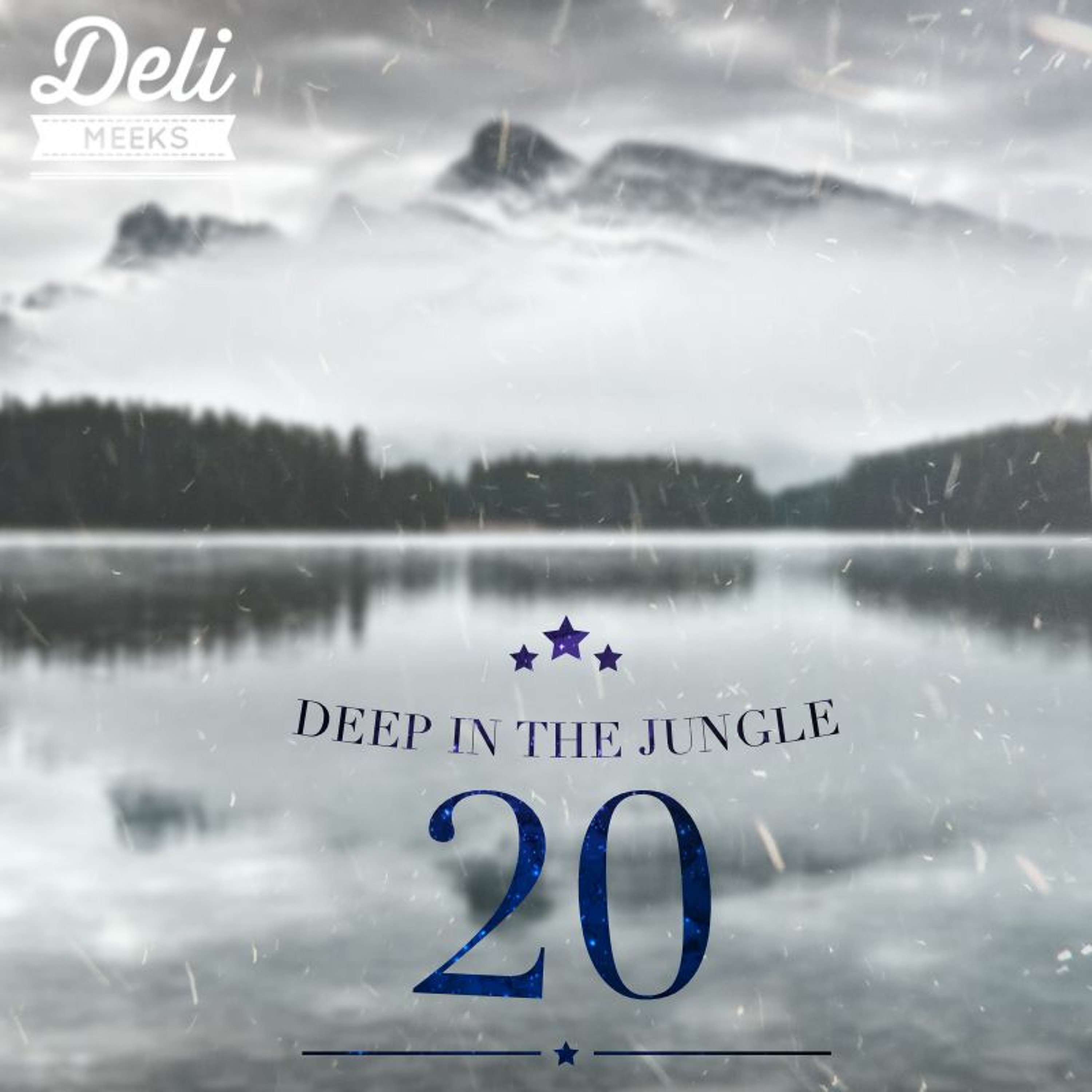 Deep In The Jungle Ep 20: Reflections
