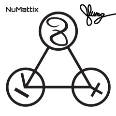 Flung & Numattix - Semita Logicam