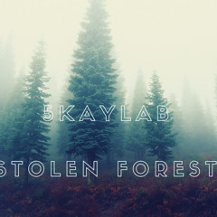 Stolen forest