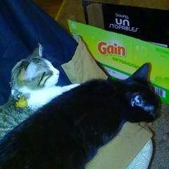 Half the Time (Prod, RiceGang)