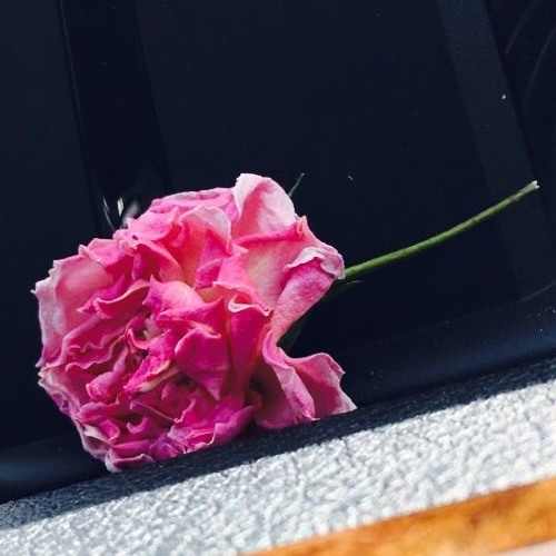 Pure Imagination [Solo Guitar]