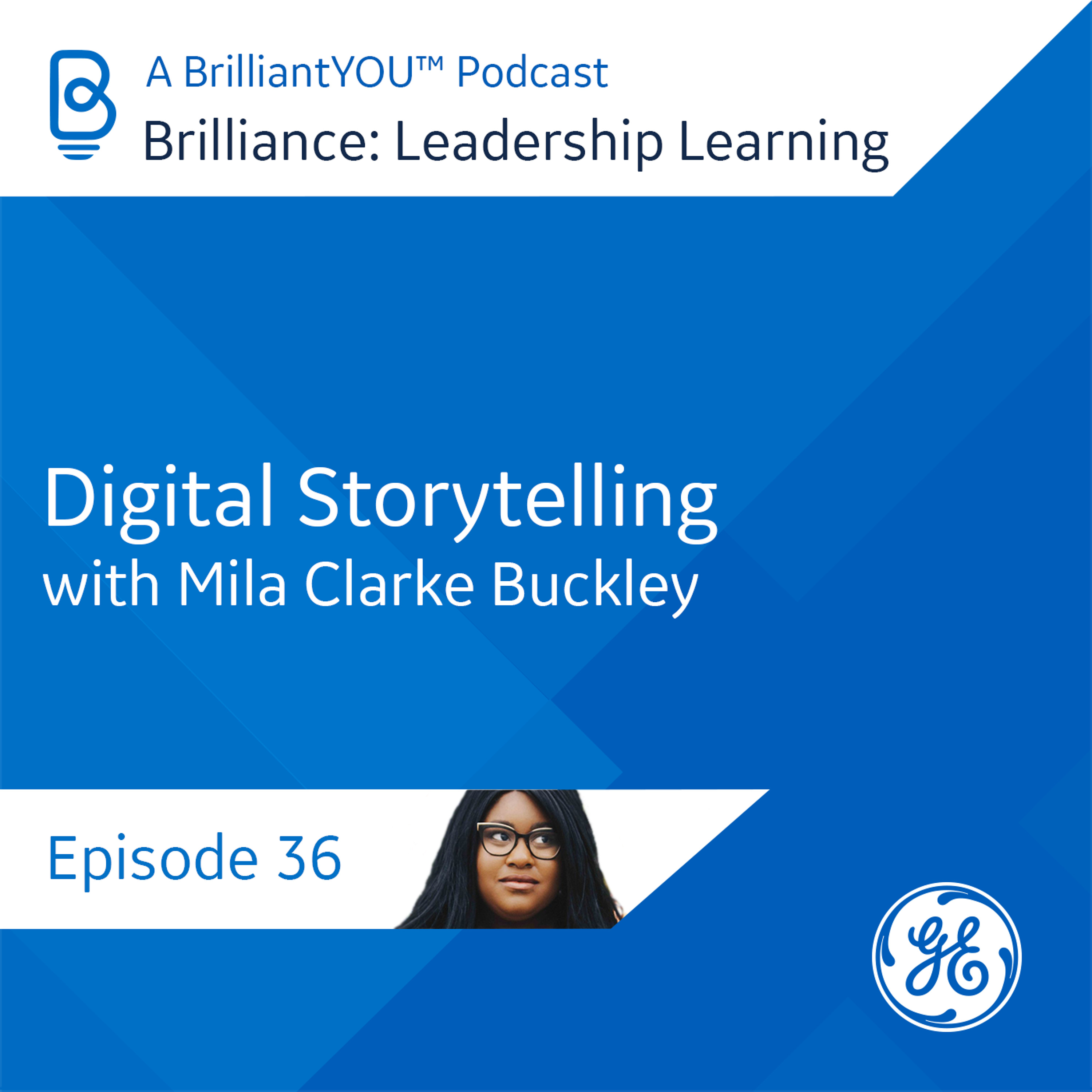 Brilliance: Leadership Learning